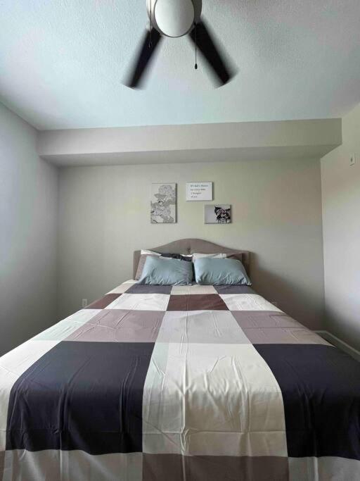 Blooming Journey In Tampa Bay! Apartment Exterior photo