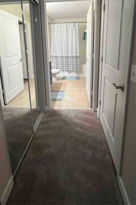 Blooming Journey In Tampa Bay! Apartment Exterior photo
